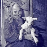 Photograph Of Noelie Houle - An Old Woman With A Headscarft And Sweater Holding A Baby Goat