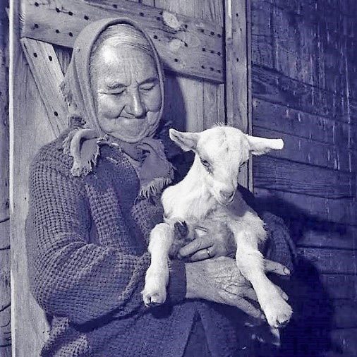 Photograph of Noelie Houle - an old woman with a headscarft and sweater holding a baby goat