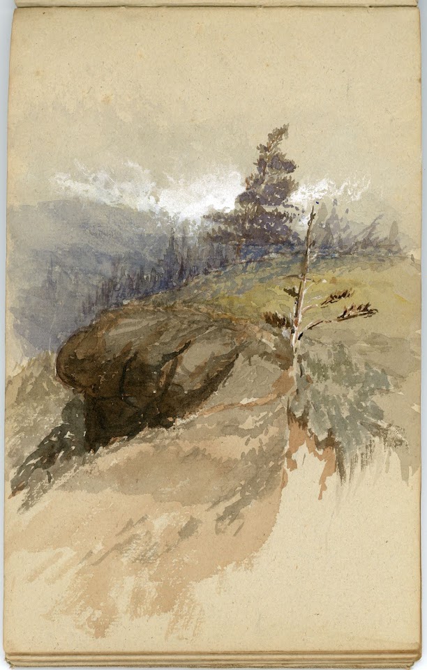 A watercolor on a sketchbook page depicting a nature scene of a rocky ledge